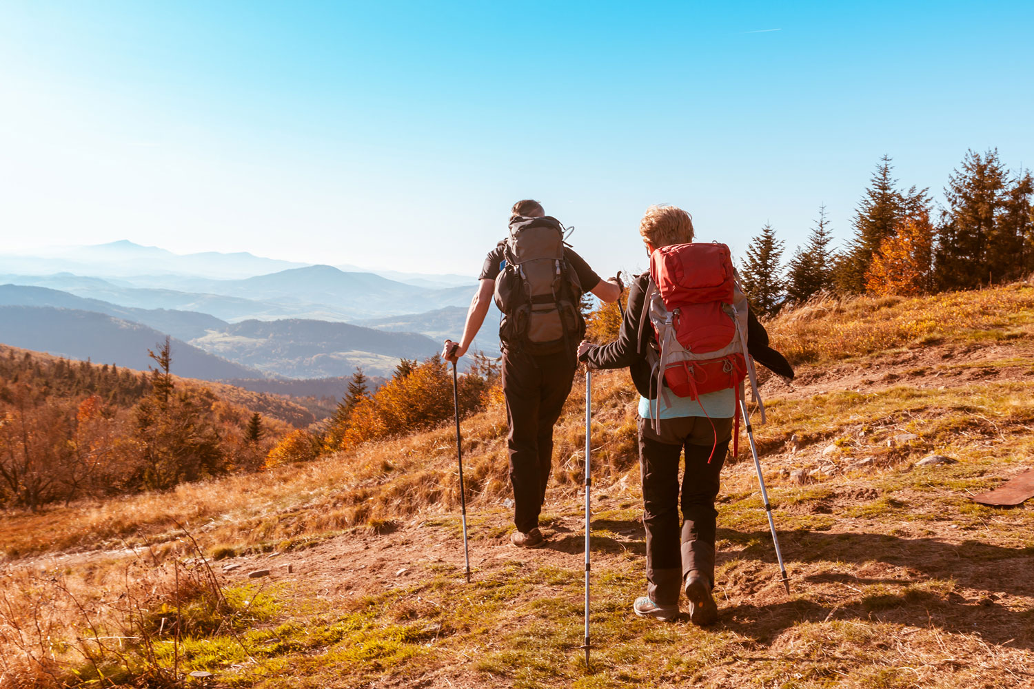 people hiking in the mountains from adobe stock